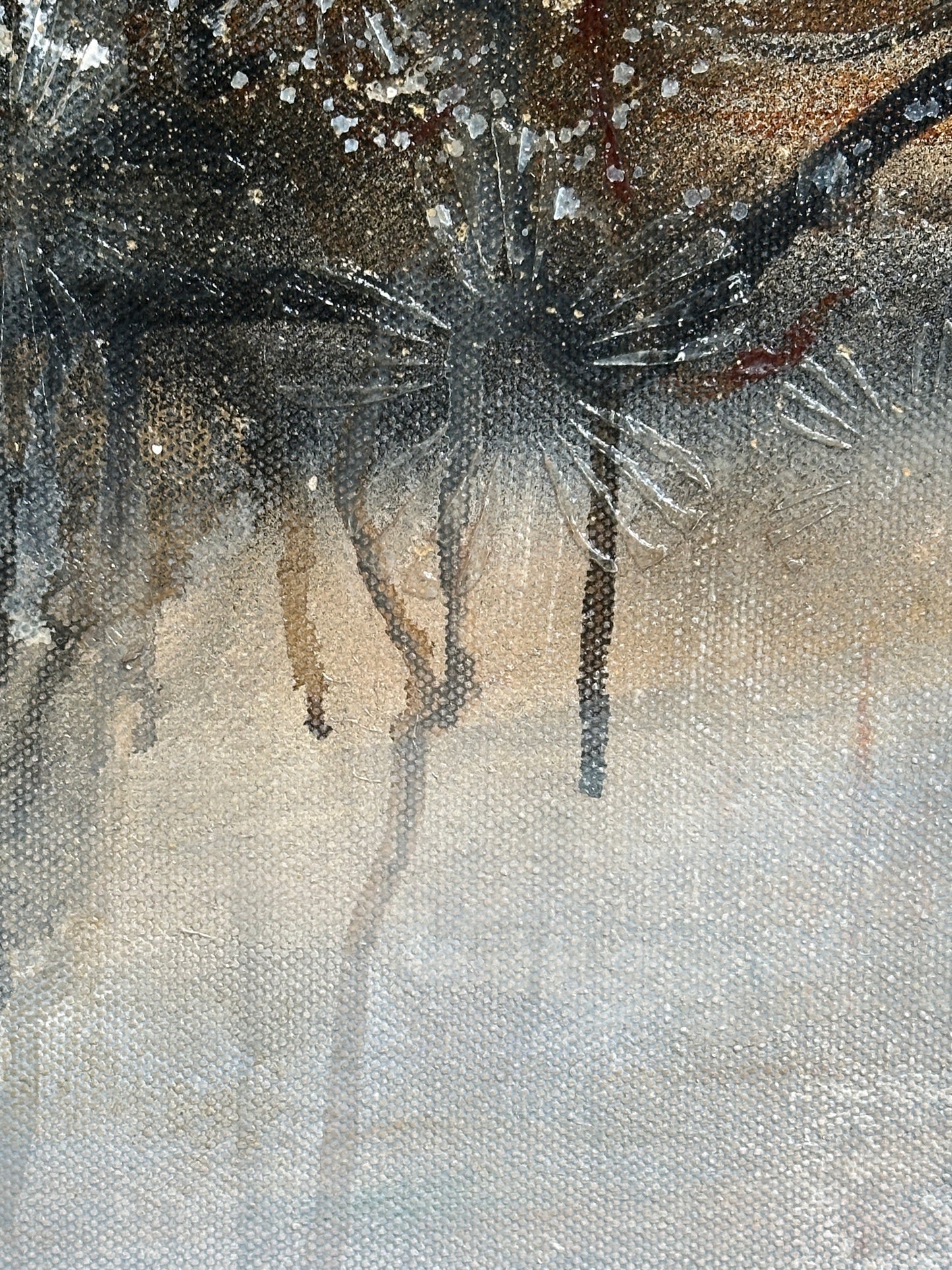 The Fleeting Shimmer